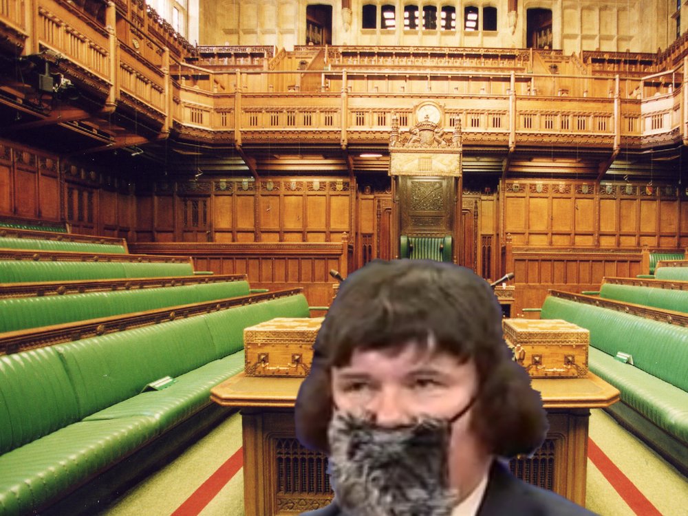 The State of Democracy  